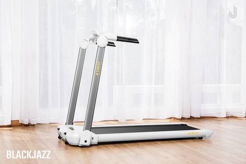 產品精修 健身器材與網絡科技的融合創新